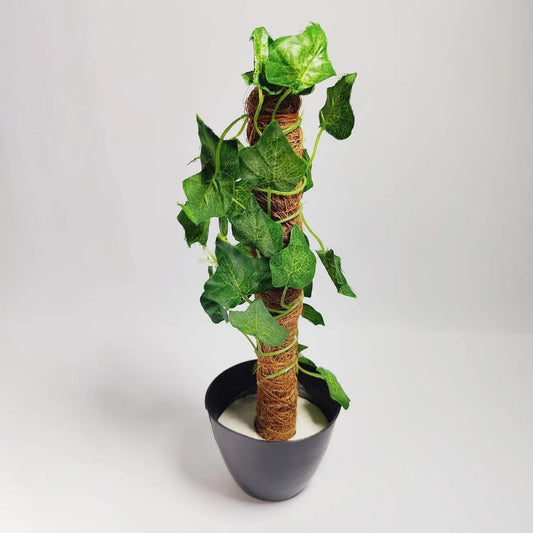 Artificial Money Plant Leave With Coconut Stick Decorative